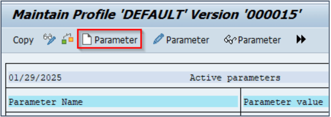 RZ10 Maintain Profile