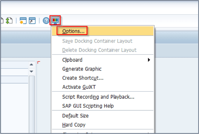 SAP GUI Options